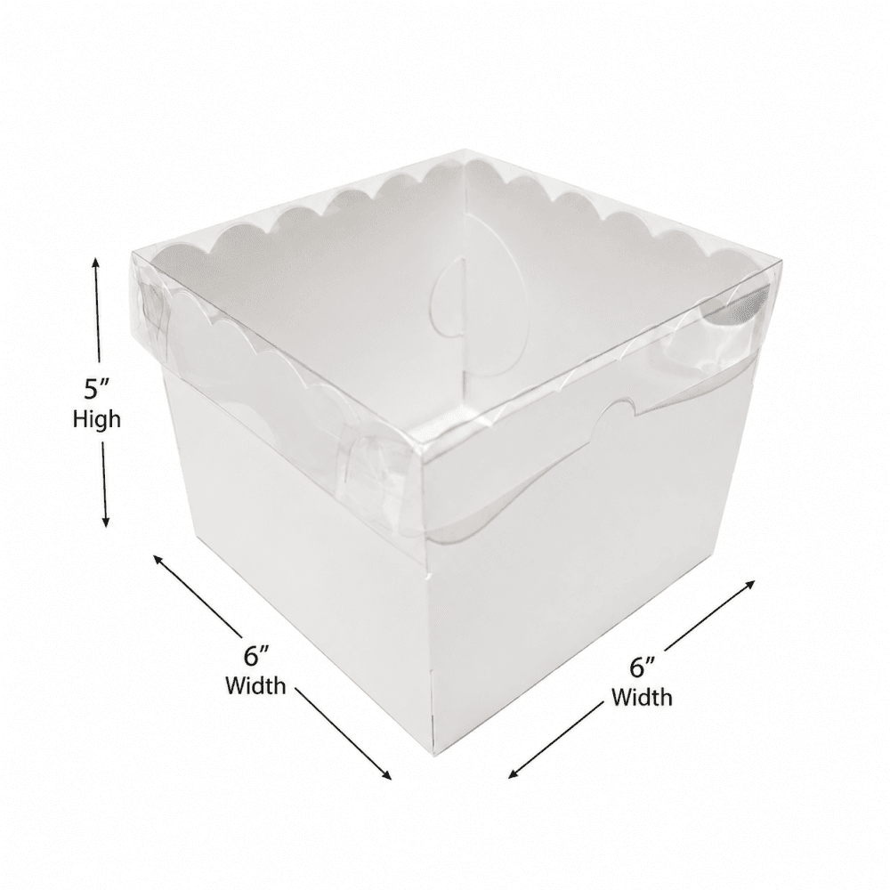 Bento Diddy Cake Box - 6x6x5"